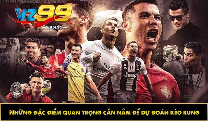 Kèo rung là gì? Khái niệm và Cách chơi hiệu quả cho bet thủ 6 Những đặc điểm quan trọng cần nắm để dự đoán kèo rung